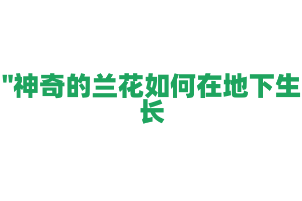 "神奇的兰花如何在地下生长？"